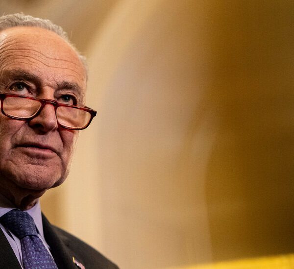 Chuck Schumer on His Marketing campaign to Oust Israel’s Chief