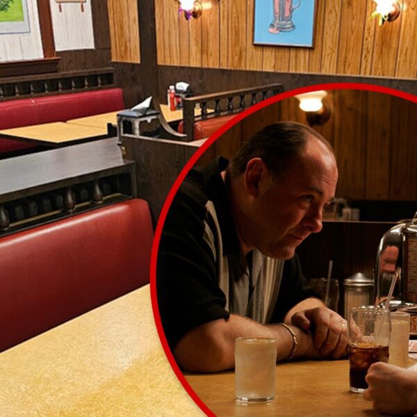 ‘The Sopranos’ Diner Sales space From Finale Sells For Over $82,000
