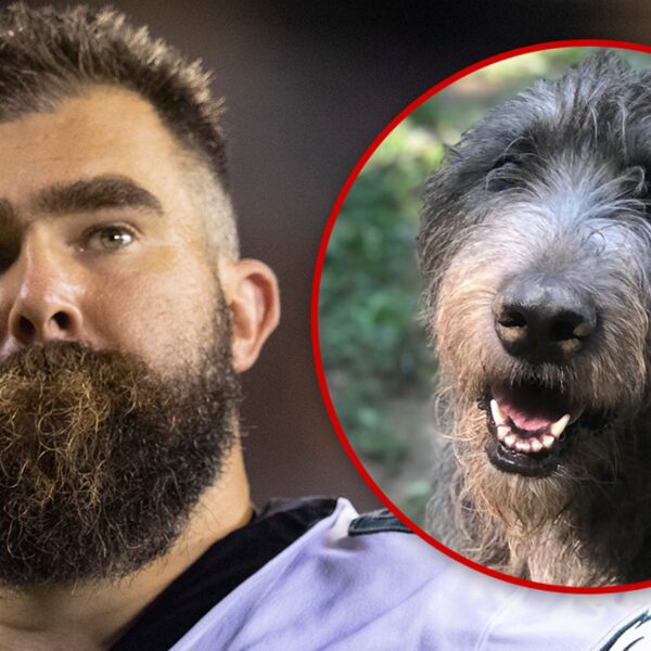 Jason Kelce’s Beloved Canine, Winnie, Dies