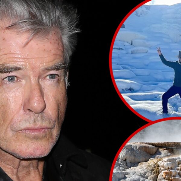 Pierce Brosnan Pleads Responsible to Unlawful Climbing Cost in Yellowstone Case