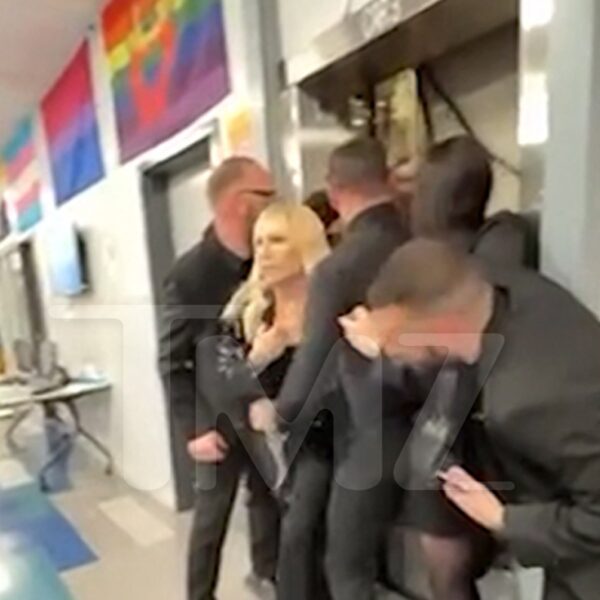 Donatella Versace Will get Caught In Elevator At LGBT Occasion, Footage Of…