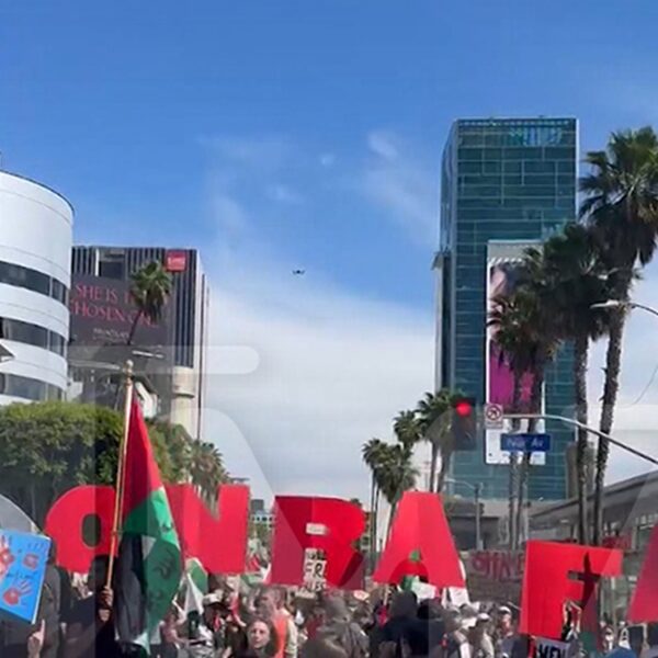 Professional-Palestine Protest Overtakes Streets of L.A. Forward of Oscars