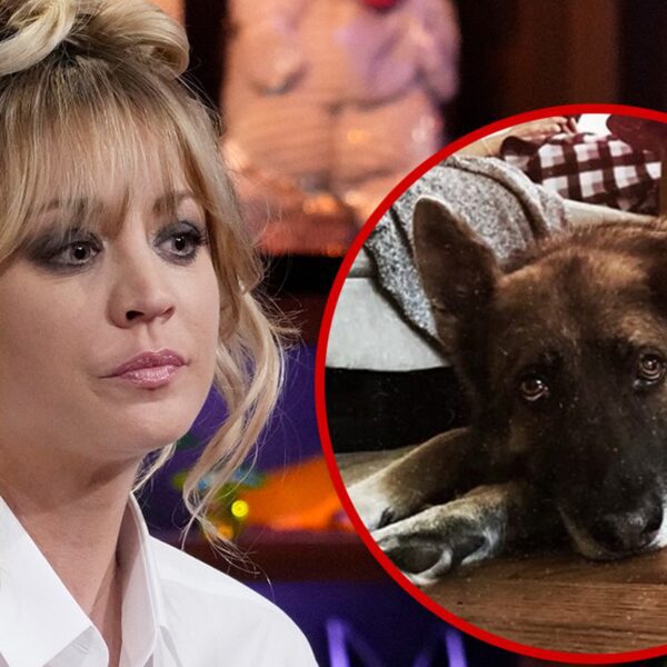 Kaley Cuoco Pronounces Demise of Her Canine, Blue