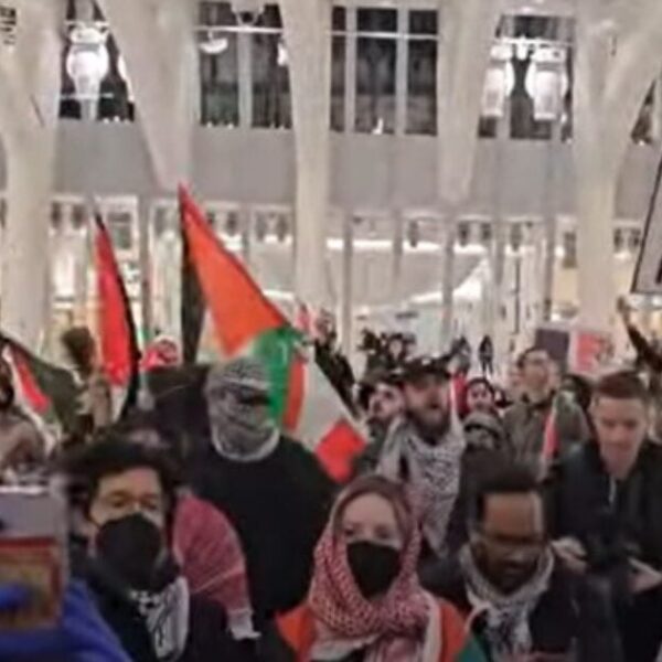 A Mob of Anti-Israel Protesters Swarmed the World Commerce Heart in NYC…