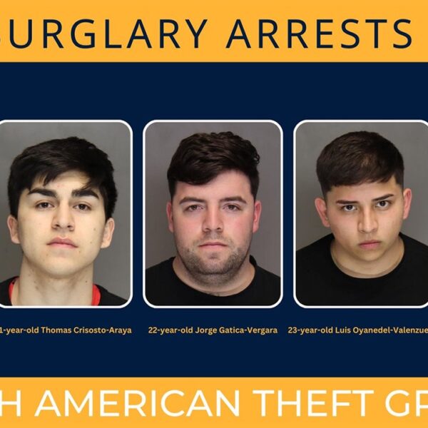 Maryland thieves linked to theft ring from South America, in US illegally:…