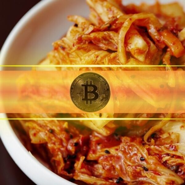 Bitcoin Kimchi Premium in South Korea Soars to 2-Yr Excessive, Is That…
