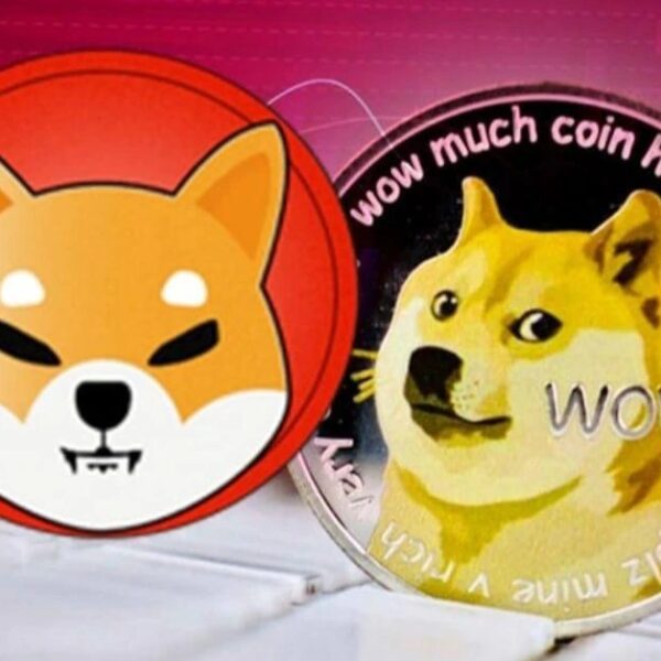 Right here’s The place Dogecoin And Shiba Inu Would Be With The…