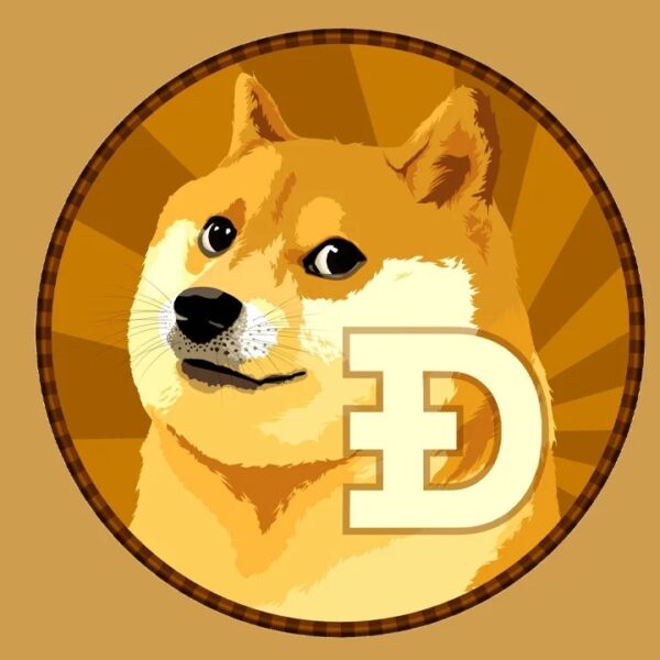 Dogecoin Influencer Predicts When DOGE Funds Will Debut On X