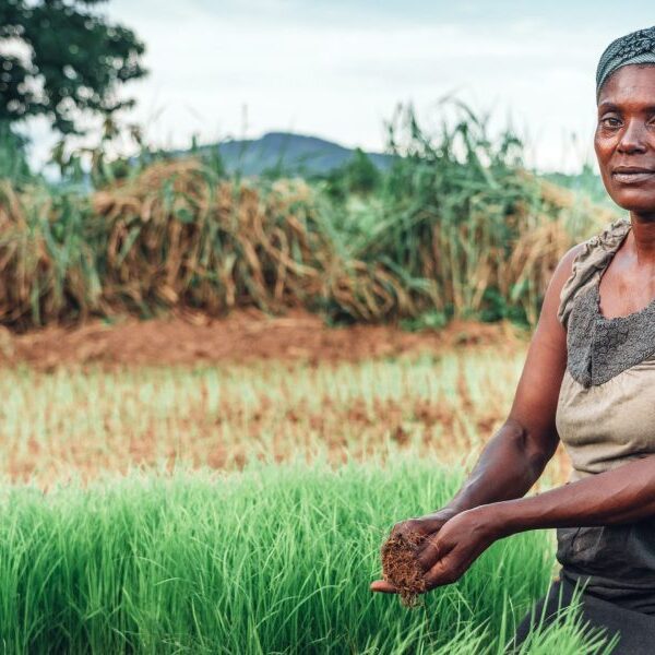 Local weather change hurts girls who run households in poor nations