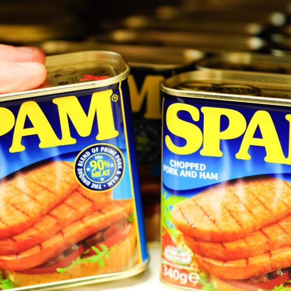 Inflation-hit shoppers discover assist in SPAM says Hormel Meals CEO