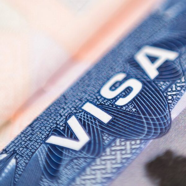 Capping H-1B visas at 85,000 might cripple U.S. development in tech like…