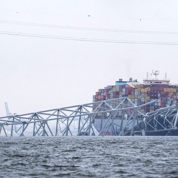 Fixing the Francis Scott Key Bridge that collapsed this week might value…