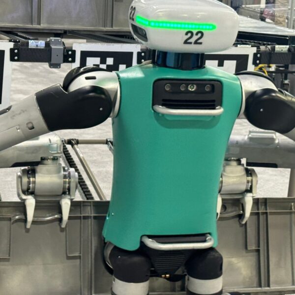 The loneliness of the robotic humanoid