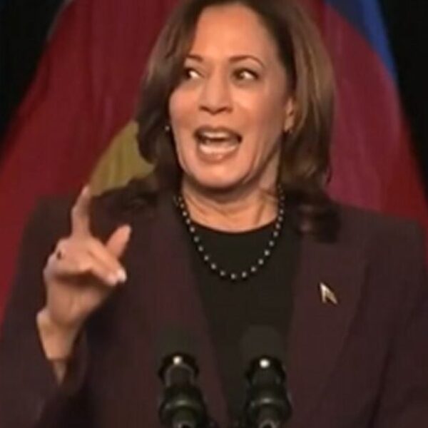 PROJECTION: Kamala Harris Says if Reelected, Trump Will Weaponize the Division of…