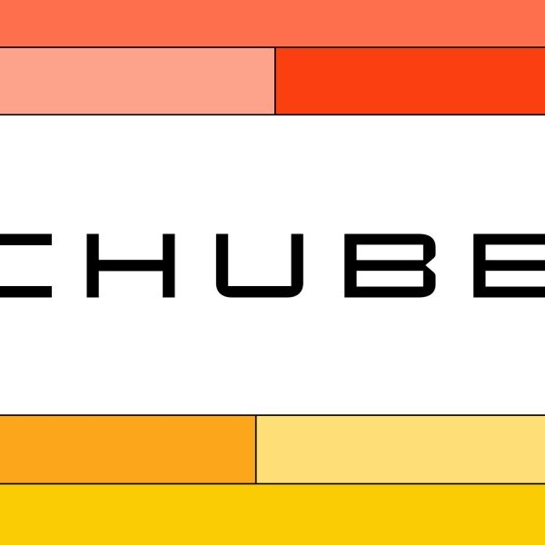 Chubb insurance coverage evaluation: Safety for auto, house, enterprise, and valuables