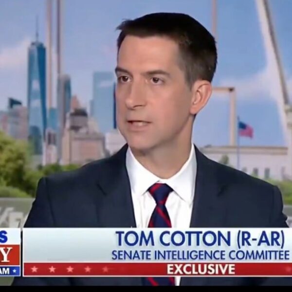 Sen. Tom Cotton: “I’m Deeply Worried That ISIS From Afghanistan Will End…