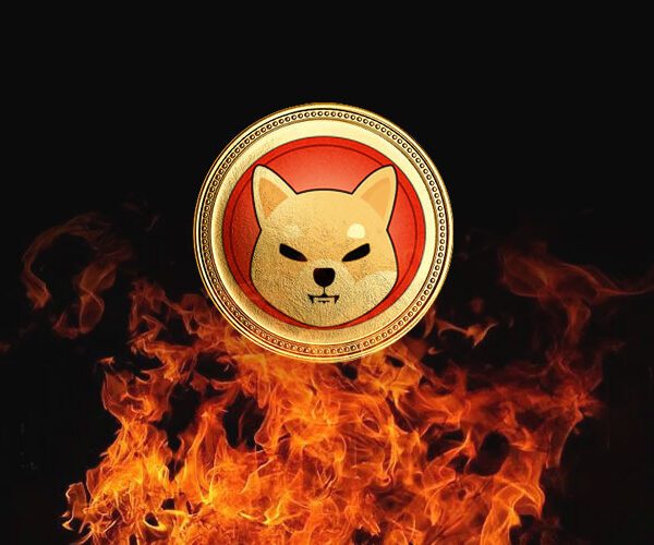 Shiba Inu Group Declares Largest SHIB Burn But, Right here’s How A…