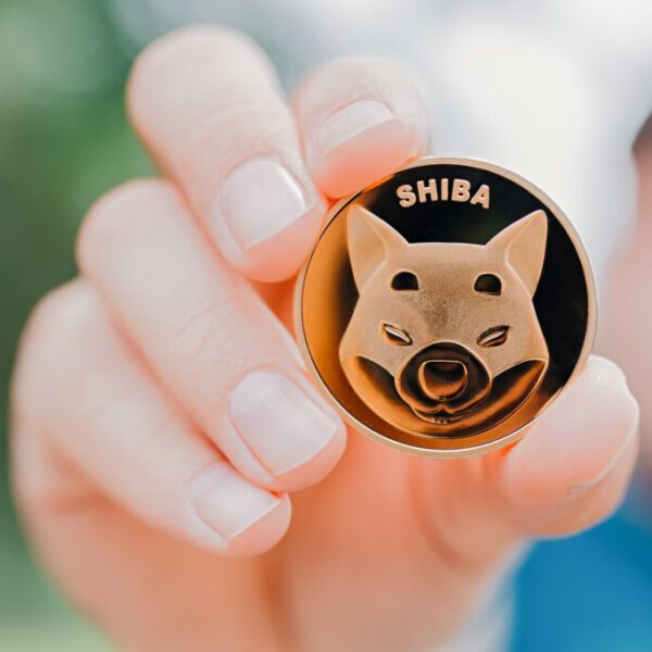 Shiba Inu Burn Charge Spikes Over 300%, What’s Driving It? – Investorempires.com