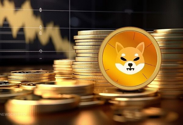 Why Is The Shiba Inu Value Down As we speak?