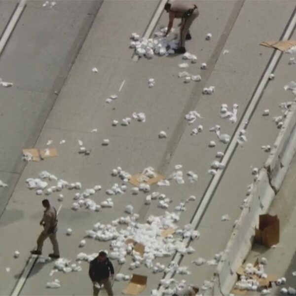 California freeway clogged with bathroom paper rolls that blocked visitors