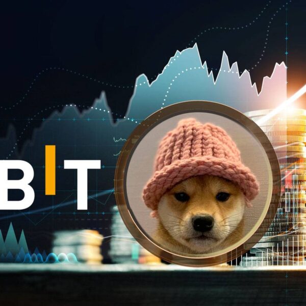 If Bonk Is The Dogecoin Of This Cycle, Is WIF The Subsequent…