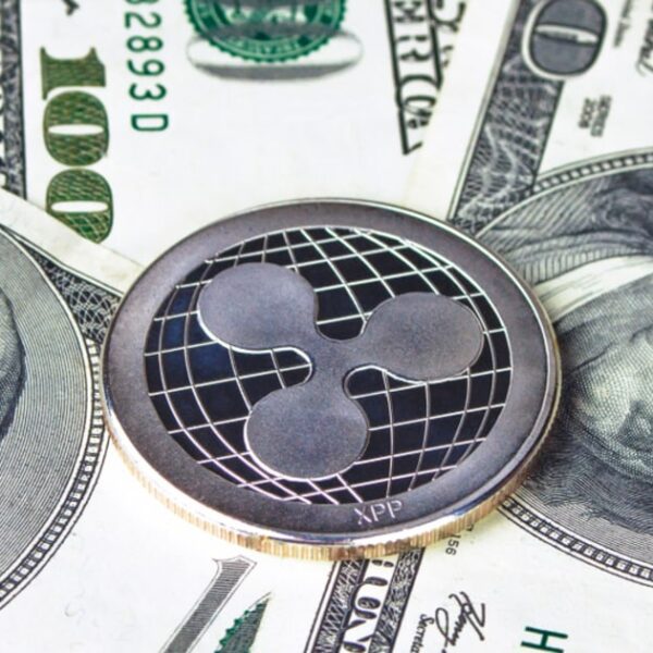 Fox Journalists Says XRP Received’t Make You Wealthy, Right here’s Why