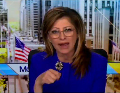 Fox’s Maria Bartiromo Tries To Join Francis Scott Key Bridge Collapse To…