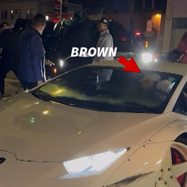 Chris Brown Scuffs Up His Lamborghini Leaving Hollywood Sizzling Spot