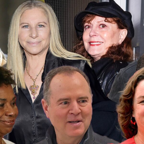 Ben Affleck, Barbra Streisand, Different Celebs Donate Huge in CA Senate Race
