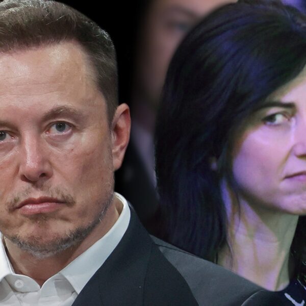 Elon Musk Blasts Jeff Bezos’ Ex-Spouse Over Her ‘DEI’-Impressed Donations