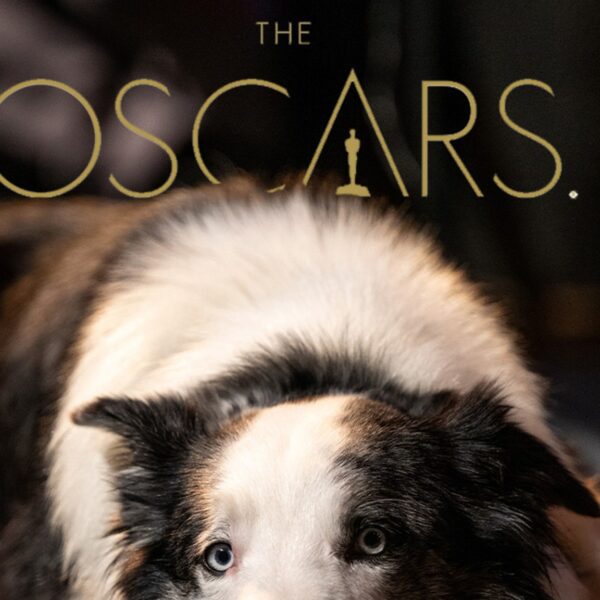 ‘Anatomy of a Fall’ Canine Cameo at Luncheon Pissed Off Oscar Contenders
