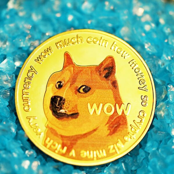 Huge Cash Eyes Dogecoin: Whale Exercise Explodes 600%