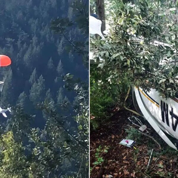 California household survives small airplane crash after plane deploys parachute