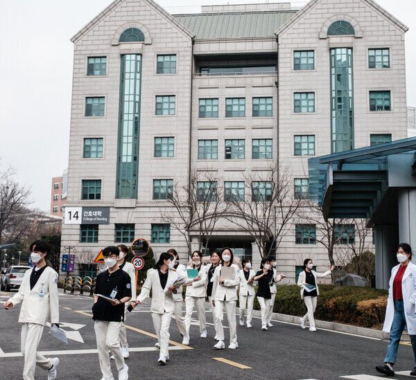 As South Korea Medical doctors’ Walkout Drags on, Many Blame President