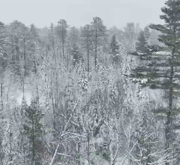 400,000 In Maine, New Hampshire and Vermont With out Energy After Snowstorm