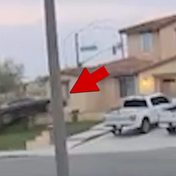 Doorbell Video Reveals Automobile Going Airborne and Crashing Right into a Home