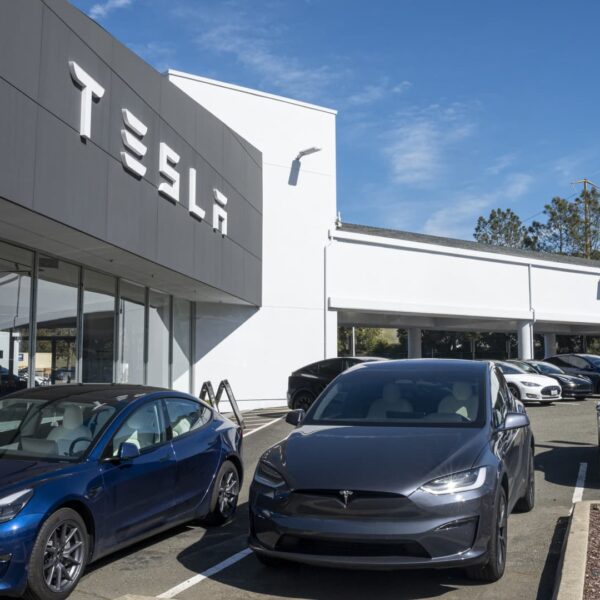 Would-be Tesla patrons snub firm as Musk’s popularity dips