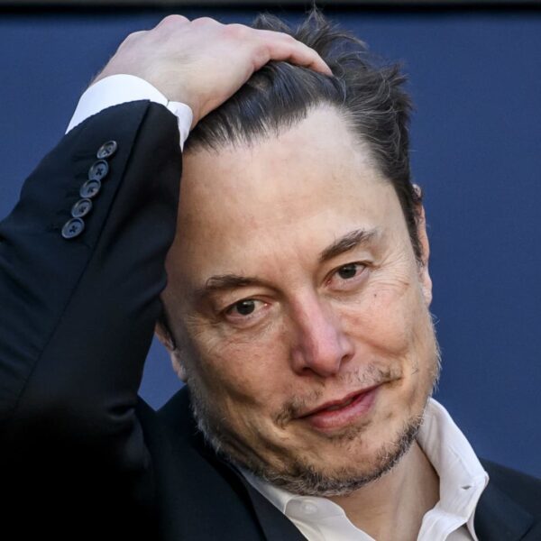 Tesla’s Elon Musk postpones India journey, goals to go to this yr