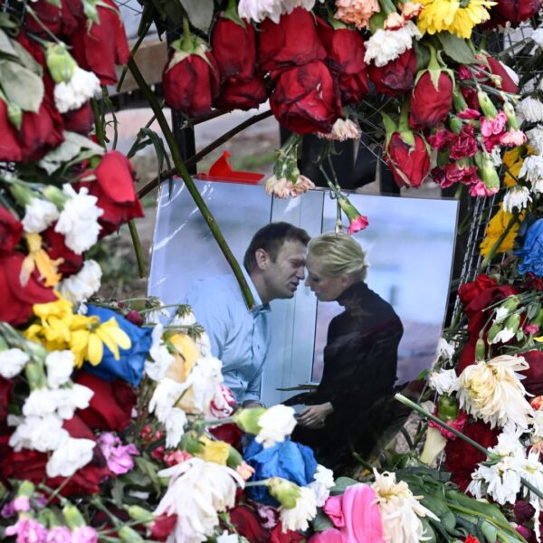Putin probably didn’t straight order Navalny’s killing, U.S. intelligence companies conclude