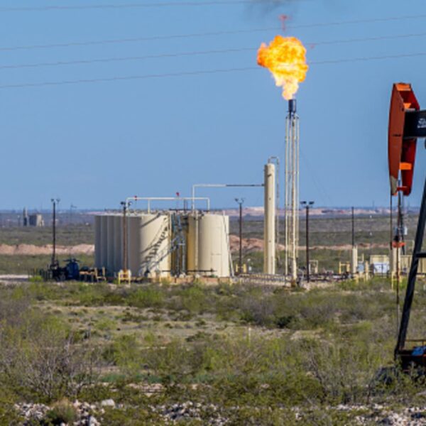 IEA downgrades 2024 oil demand progress forecast as costs warmth up