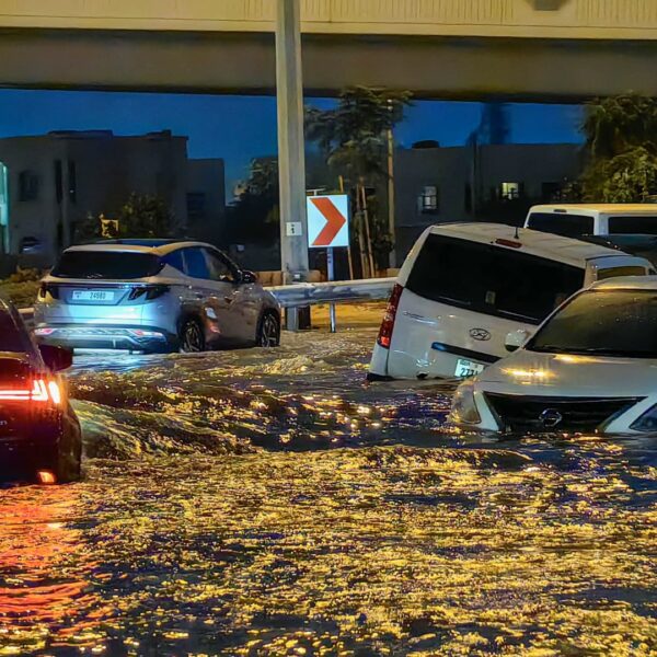 Dubai Damac property boss says floods had been overexaggerated