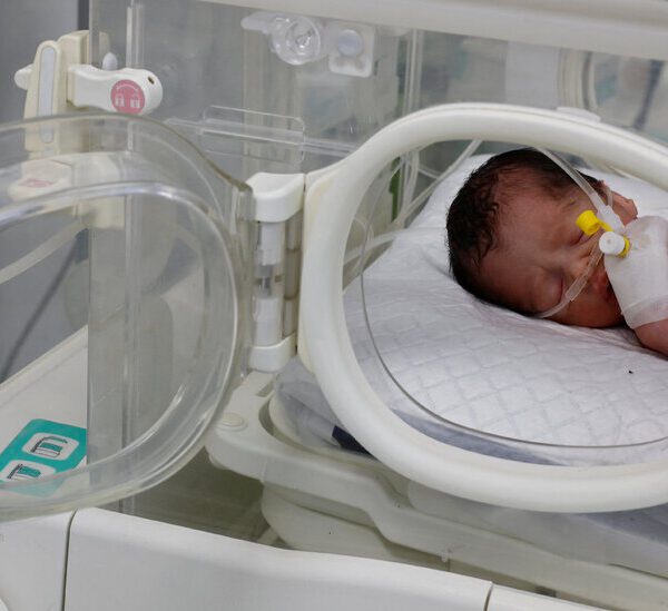 A Child Born in Gaza After Her Mom Was Killed Has Died