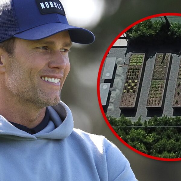 Tom Brady’s Miami Mansion Vegetable Backyard Flourishing