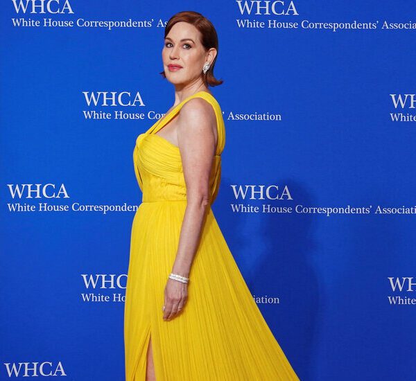 White Home Correspondents’ Dinner Purple Carpet Images: See the Greatest Dressed