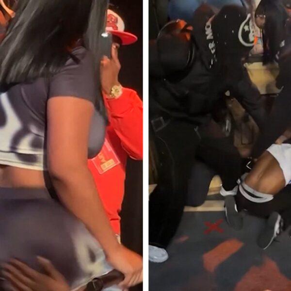 Wild Combat Breaks Out After Fan Slaps Rapper Stunna Lady’s Butt