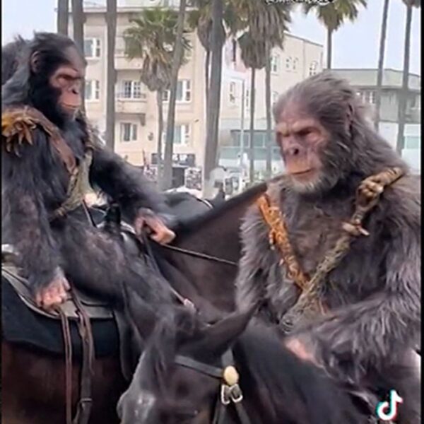 ‘Apes’ Hit Venice Seaside on Horseback for New ‘Planet of the Apes’…