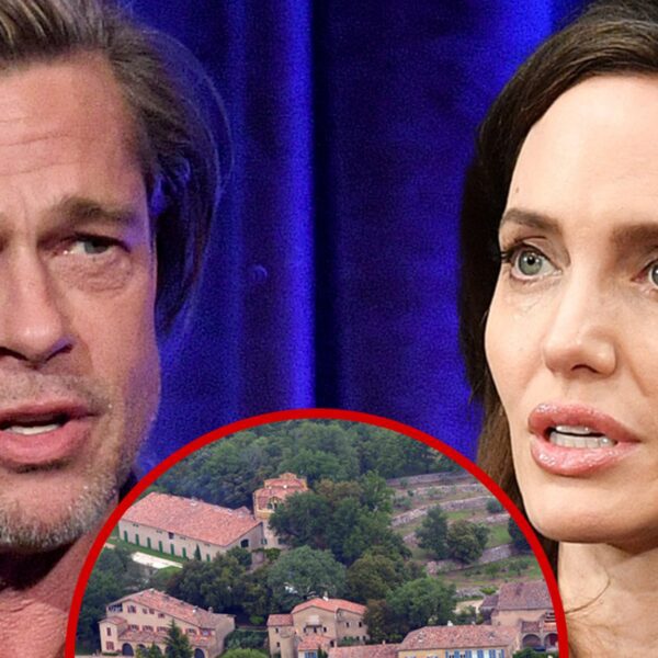 Brad Pitt Calls BS on Angelina Jolie’s Restrictive NDA Argument in Vineyard…
