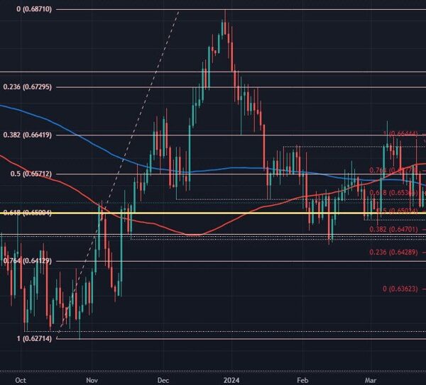 Aussie bounce runs into key degree on the chart, what’s subsequent?