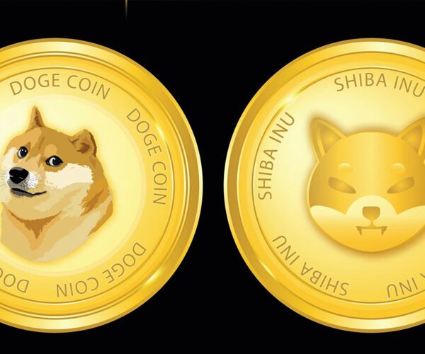 Why Is The Dogecoin And Shiba Inu Value Swimming In Crimson As…