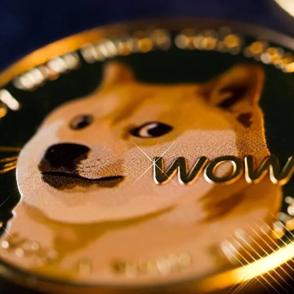 Crypto Skilled Says Now Is The Time To Get Into Dogecoin, Right…